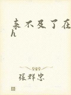 来不及了在车ch