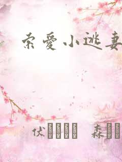 索爱小逃妻