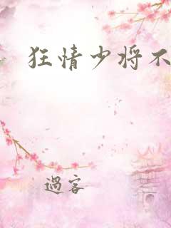 狂情少将不良妻