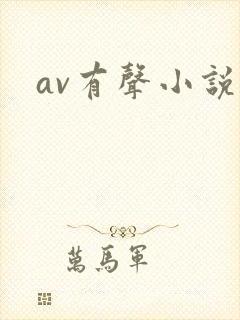 av有声小说