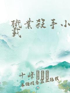 职业杀手小说下载