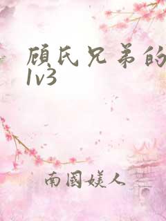 顾氏兄弟的南宁1v3