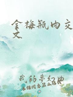 金梅瓶肉交白话文