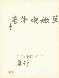老牛吃嫩草txt