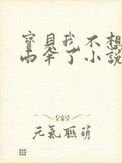 宝贝我不想带小雨伞了小说