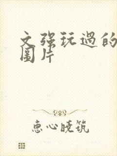 文强玩过的女人图片