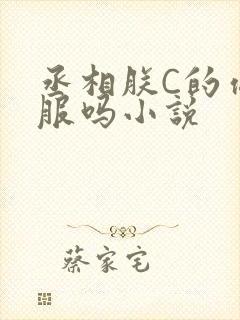 丞相朕C的你舒服吗小说