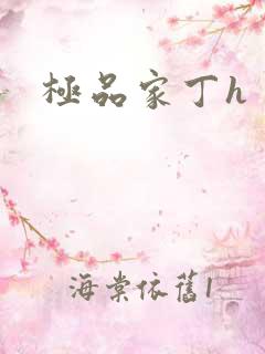 极品家丁h