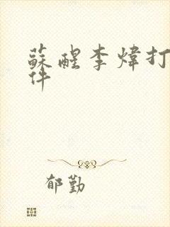 苏醒李炜打架事件