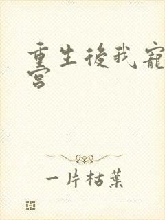 重生后我宠冠东宫