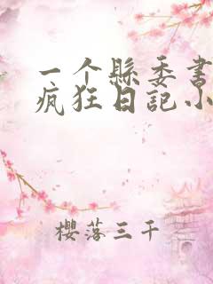 一个县委书记的疯狂日记小说