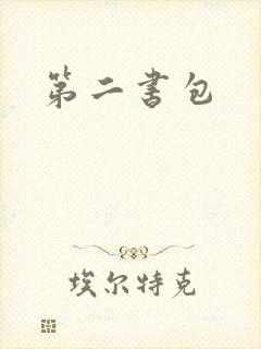 第二书包