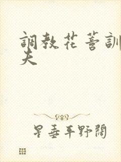 调教花蒂训诫从夫