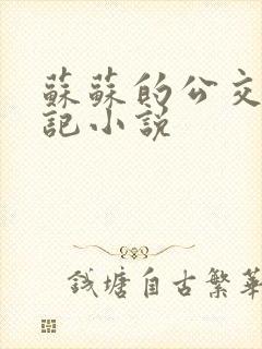 苏苏的公交车日记小说