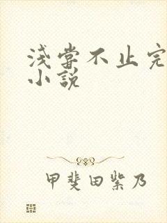 浅尝不止完整版小说