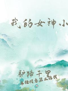 我的女神小说