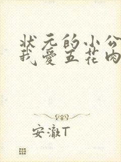 状元的小公主(我爱五花肉)