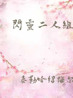 闪灵二人组下载