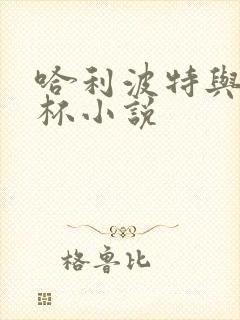 哈利波特与火焰杯小说