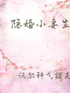 隐婚小妻生个娃