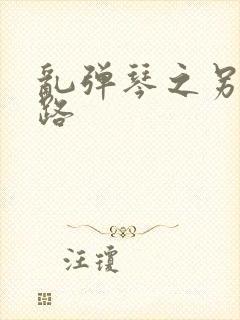 乱弹琴之另一条路