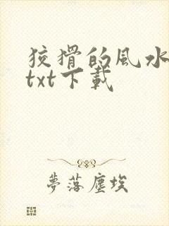 狡猾的风水相师txt下载