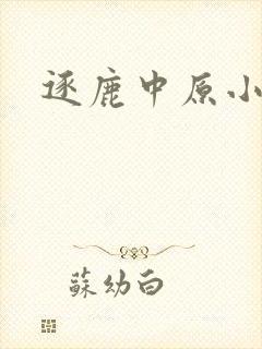 逐鹿中原小说