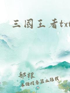 三国王者txt