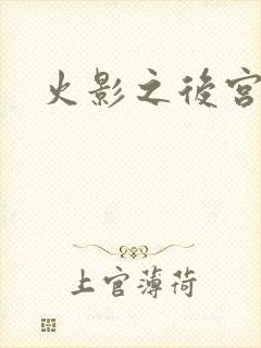 火影之后宫佳丽