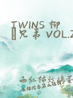 TWINS 柳澤兄弟 VOL.2