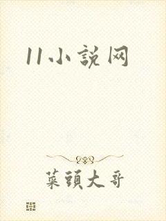 11小说网