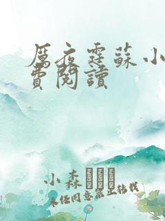 厉夜霆苏小汐免费阅读