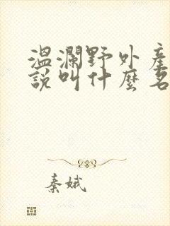 温澜野外产子小说叫什么名字