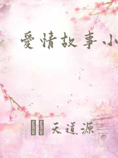 爱情故事小说