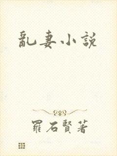 乱妻小说