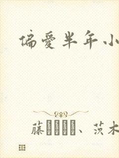 偏爱半年小说