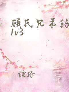 顾氏兄弟的南宁1v3