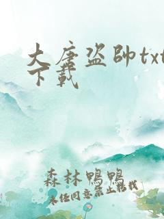 大唐盗帅txt下载