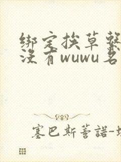 绑定挨草系统后没有wuwu名字