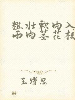 粗壮软肉入户云雨肉茎花核