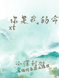 你是我的命运txt