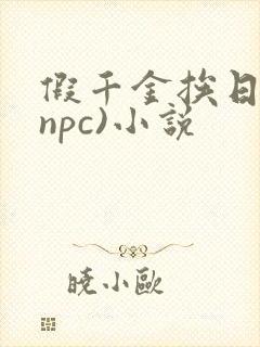 假千金挨日记(npc)小说