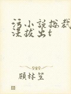 污小说总裁整夜没拔出t