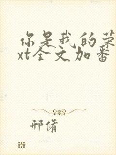 你是我的荣耀txt全文加番外