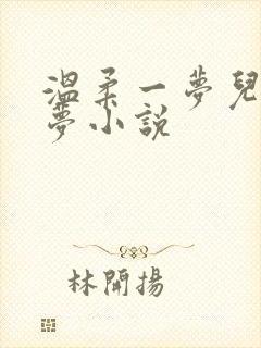 温柔一梦儿媳林梦小说