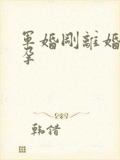 军婚刚离婚就怀孕