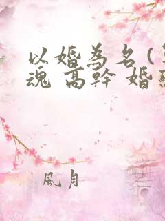 以婚为名 (军魂 高干 婚恋)
