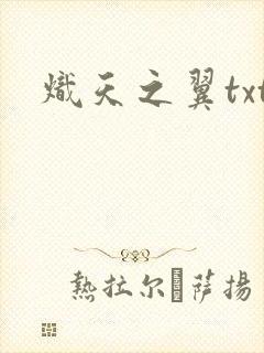炽天之翼txt