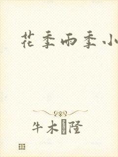 花季雨季小说