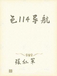 色114导航